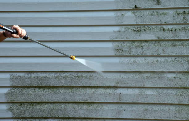 Best Driveway Pressure Washing  in Cape Charles, VA